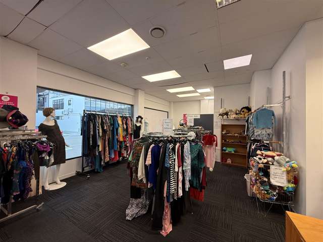 217 High Street Hutt Central_3