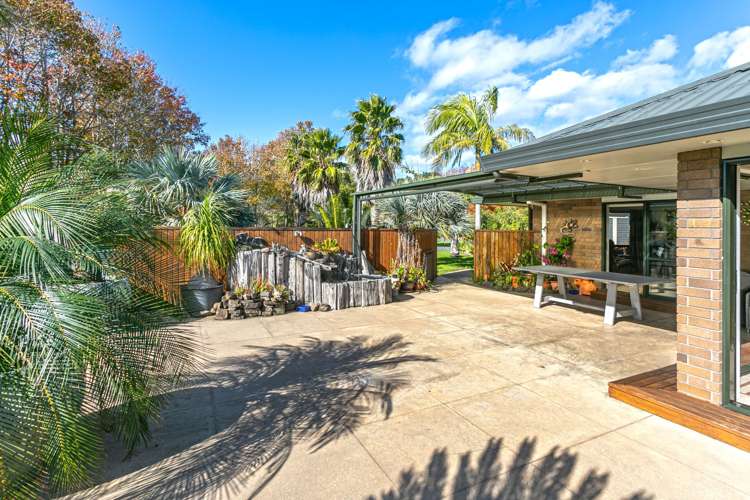1757 Manaia Road Coromandel_9