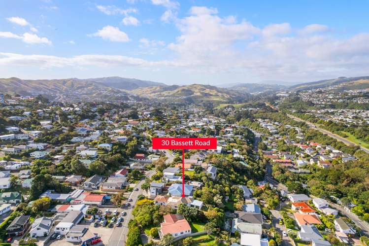 30 Bassett Road Johnsonville_30