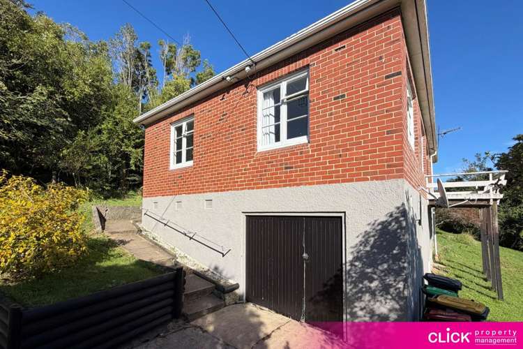 3 Edinburgh Street Green Island_1