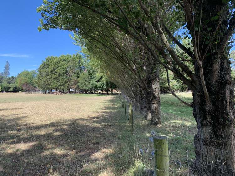 113 Ward Road Cheviot_12