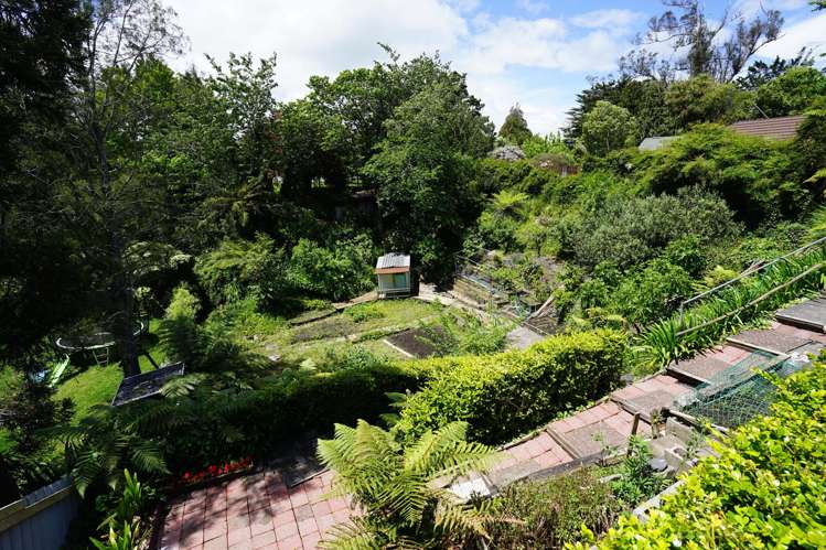 52 Herbert Road Queenwood_27