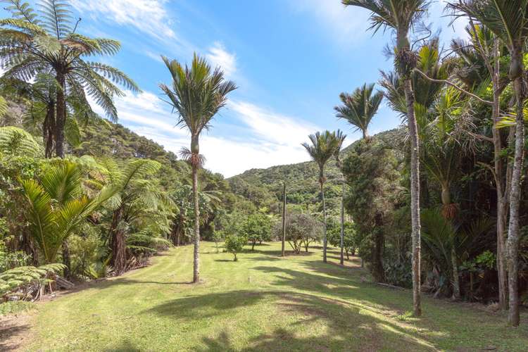 820 Colville Road Coromandel_3