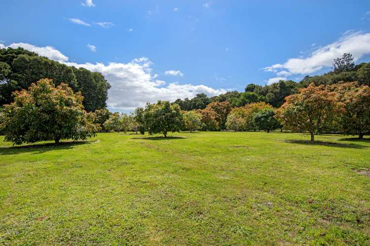 115A&B Kara Road Maungatapere_6