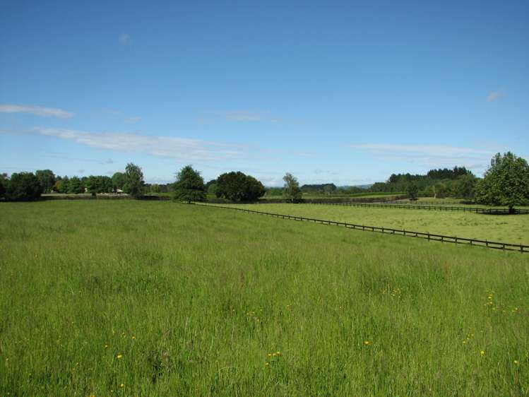 305 Taihoa South Road Matamata_5