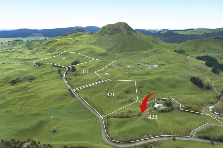 423 Kaahu Road Mangakino_23