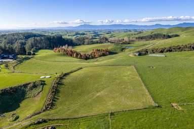 713D Waterworks Road_4