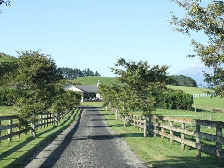 1355 Mountain Road Inglewood_22