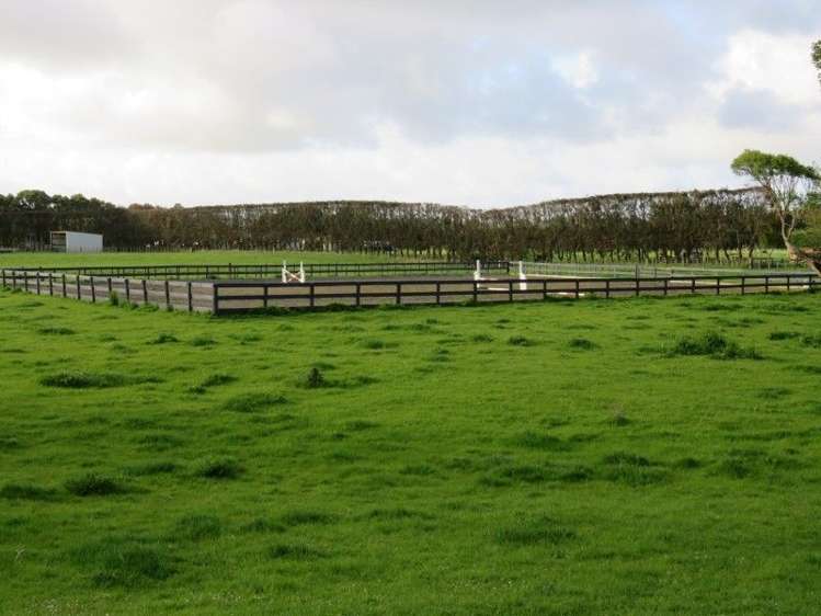 39 Brandon Hall Road Bulls_13