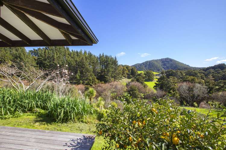 303 Gibbons Road Kaiwaka_15