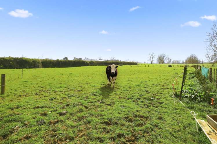 36B Kio Kio Station Road Otorohanga_15