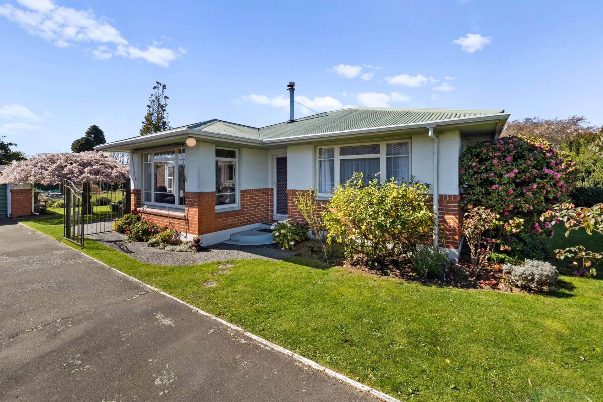 13 Porter Street Netherby_0