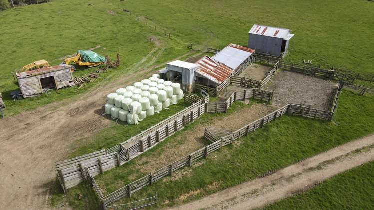 3629 State Highway 2 and Coxhead Road Mangatarata_21