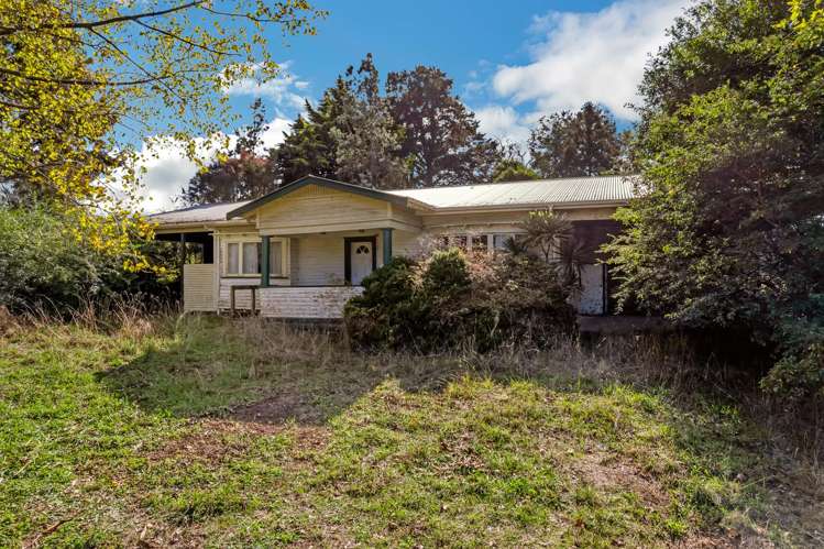 178 Fitzgerald Road Drury_10