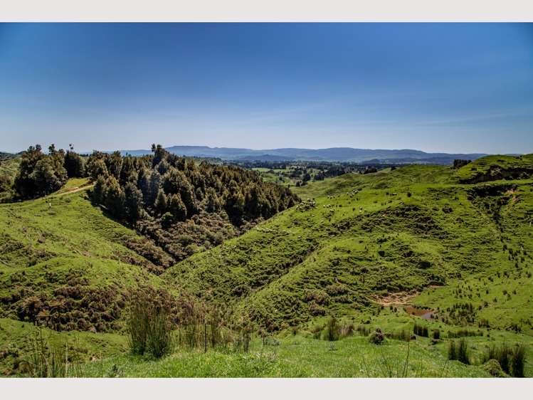 314 Kawautahi Road Owhango_16