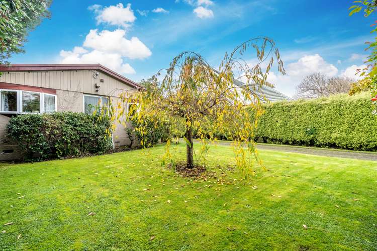 330 Chelmsford Street Waverley_19