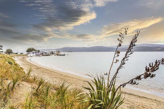 183 Marine Parade Seatoun_3