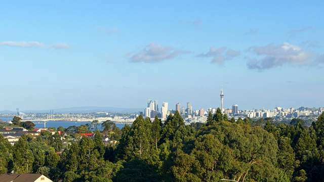 50 Balmain Road Chatswood_4