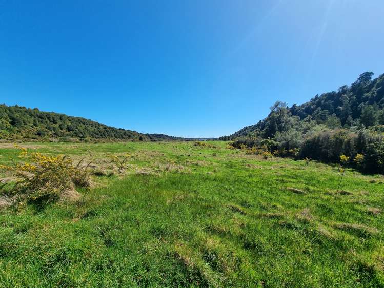 Blue Spur Road Hokitika_9