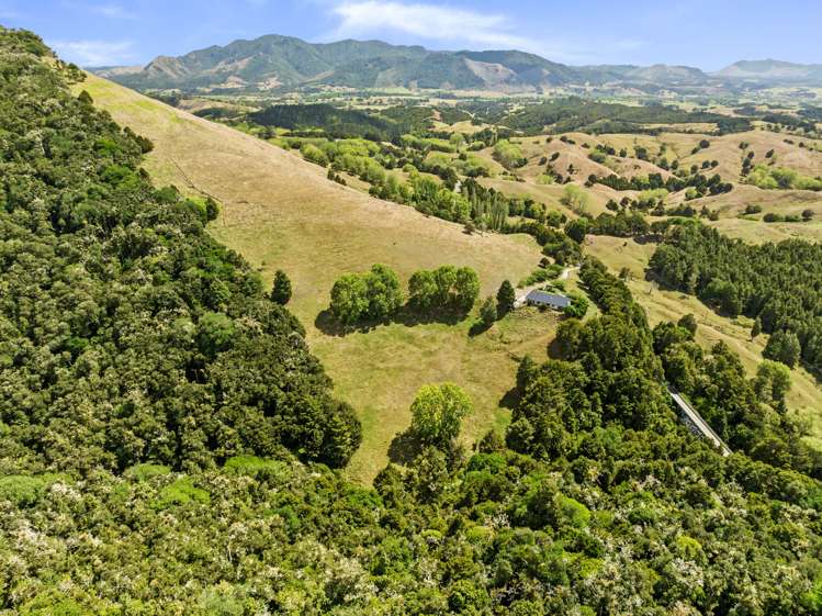 346 Kirikopuni Road Pakotai_24