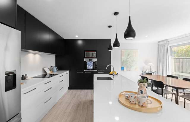 83B Scott Street Blenheim_1