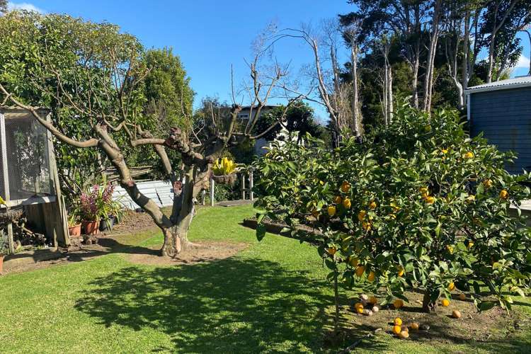 106 Bowen Place Thames_19