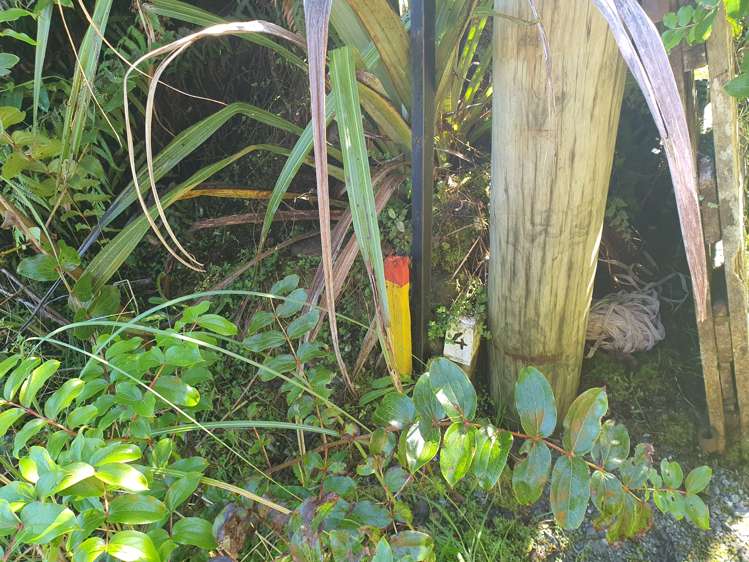 3 Middleton Place Franz Josef Glacier_3