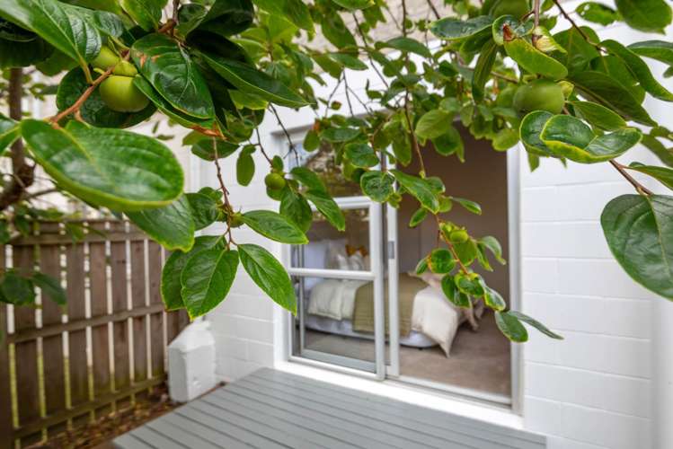 2/41 Jutland Road Hauraki_29