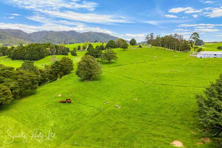 67 Taipuha Settlement Road Paparoa_55