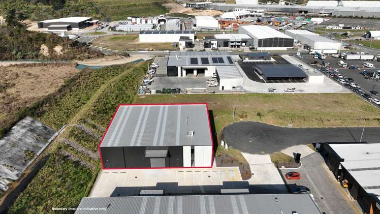 Tenancy 3/45 Patene Place Tauriko_3