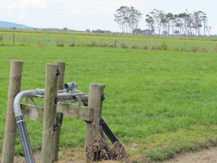 354 Access Road Ruawai_24