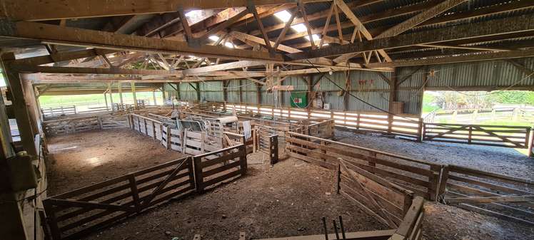 720 Mokoreta Tahakopa Road Catlins Surrounds_7