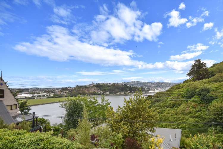 20 Larnach Road Waverley_11