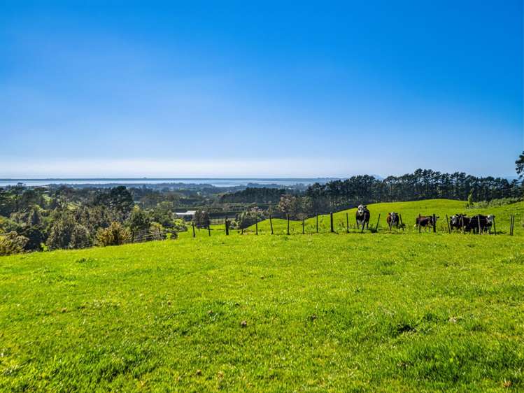 383 Busby Road Katikati_25