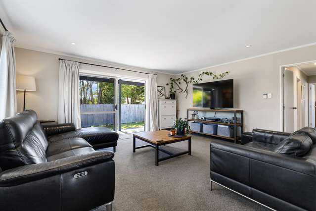 40 Elmwood Crescent Pukete_3