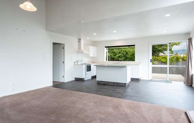 45A Tudor St Motueka_4