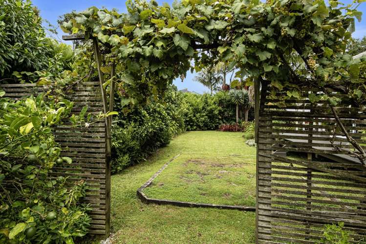 4 Graham Street Kensington_20