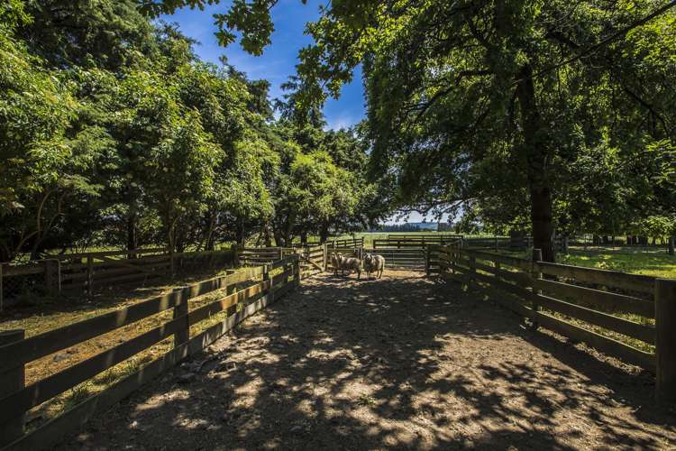 541 Beaconsfield Road Pareora West_7