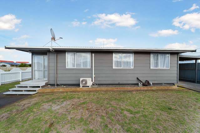 33 Raupo Street 1200_1