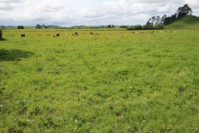 775 Bird Road Stratford_3