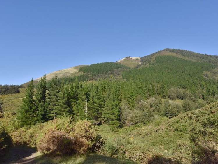 446 Glentui Bush Road Glentui_41