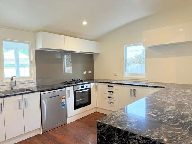 36 William Street Petone_2