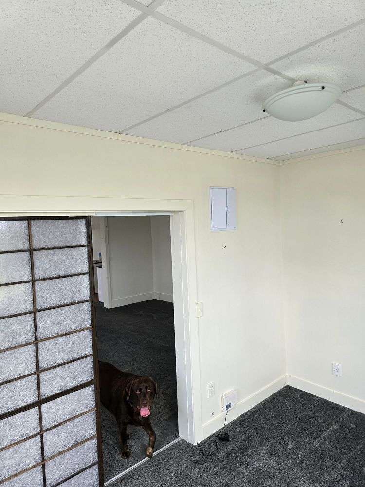 25 Marchant Street Putaruru_25