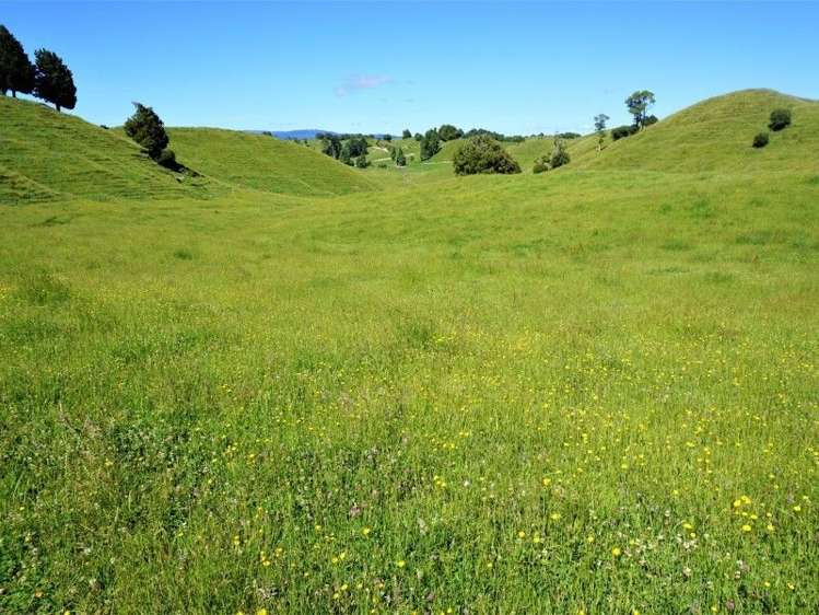 1788 Manawahe Road Manawahe_18