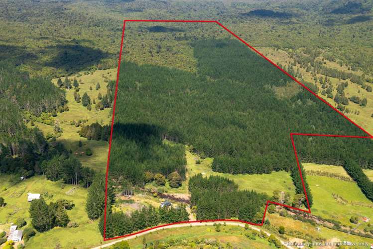 1312 Wekaweka Road Waimamaku_21