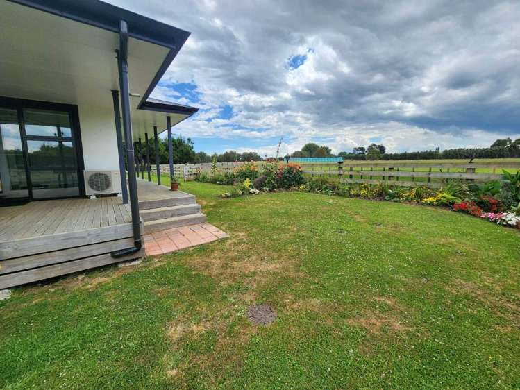  42 Watt Livingstone Road Westmere_13