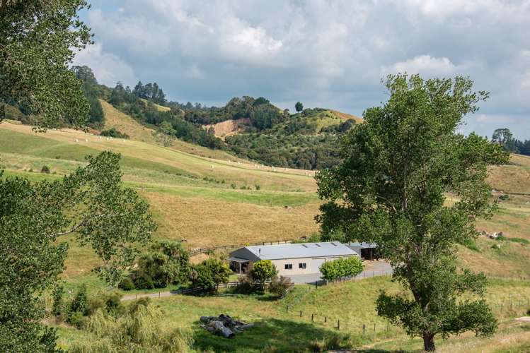 2/370 Aspin Road Te Miro_29