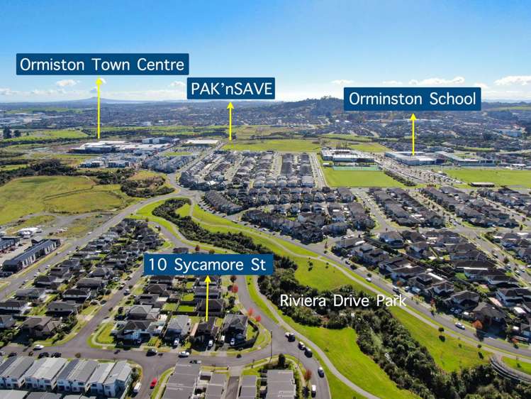 10 Sycamore Street Flat Bush_1