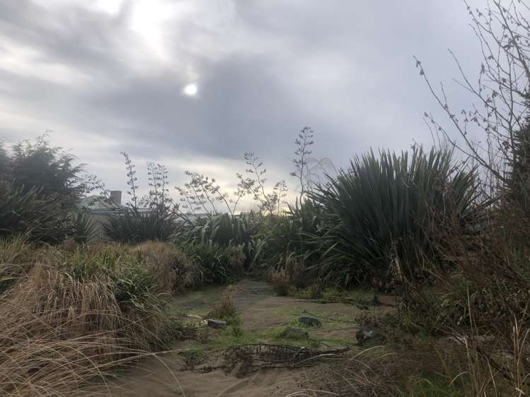 11 Meadow Street Lumsden_5