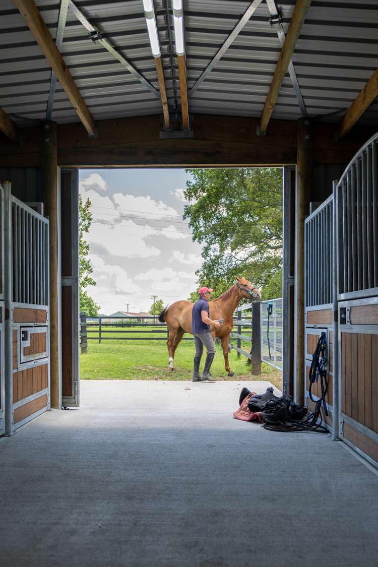 442 Bruntwood Road Tamahere_5